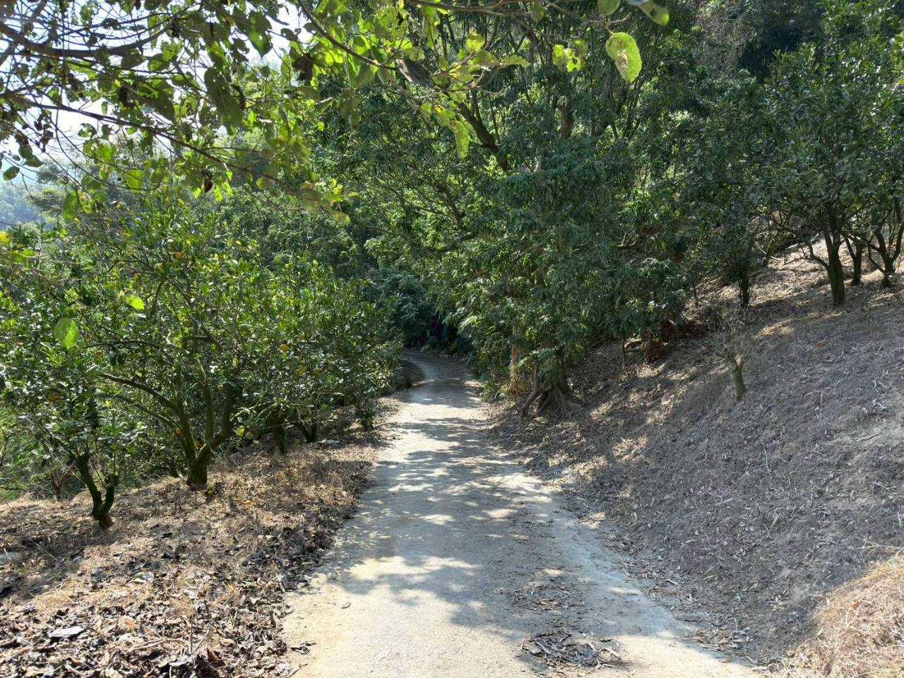 夢之湖王爺宮近2甲農用地