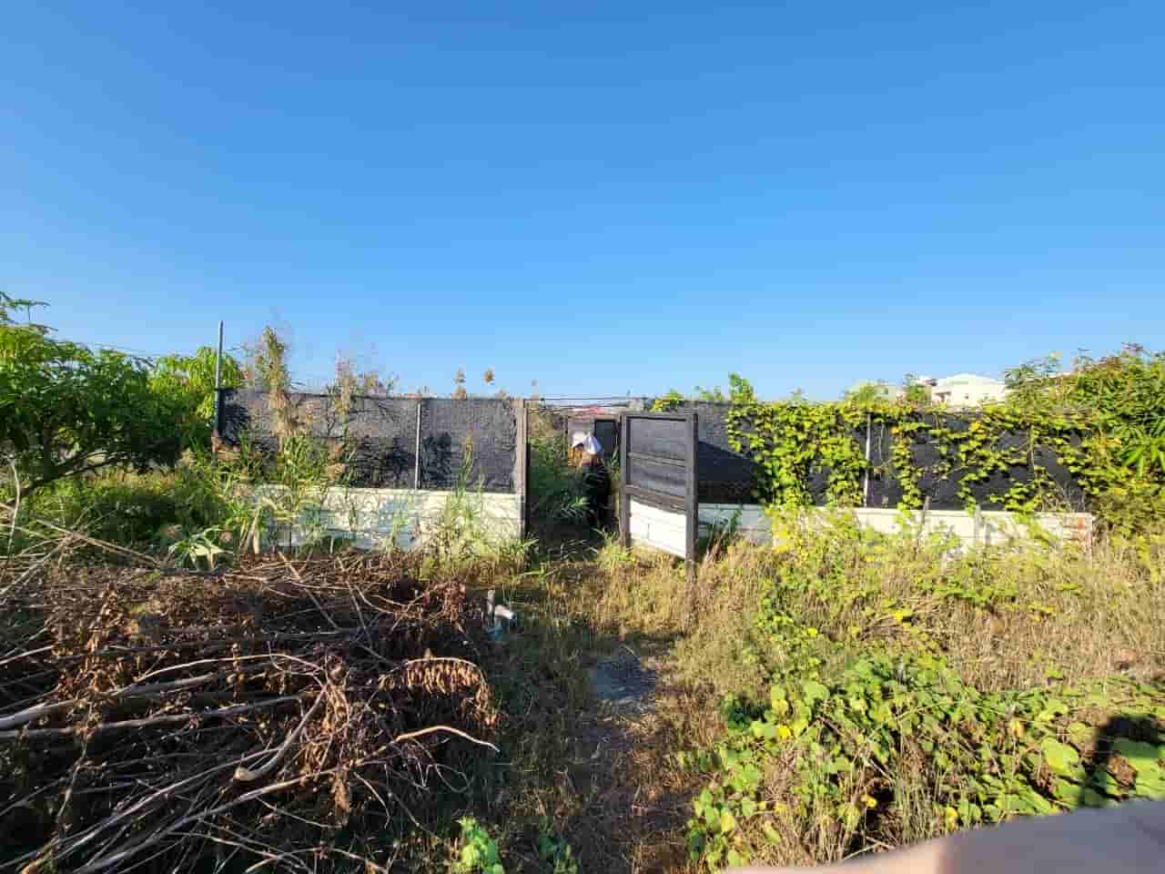 安南區都內增值網室農地