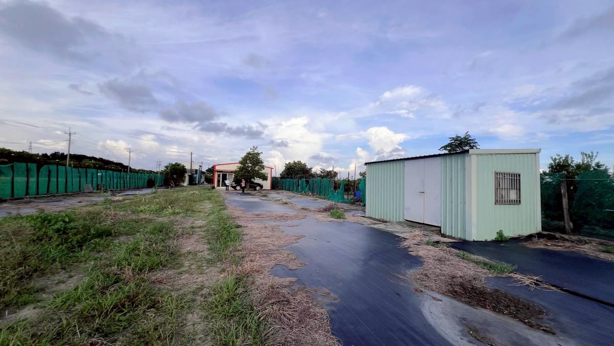 路科旁離塵不離城休閒舒適農地