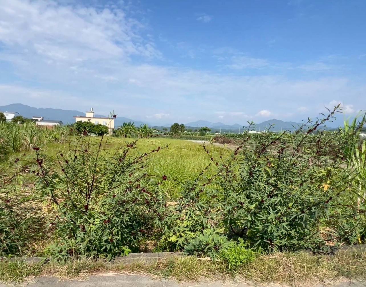 美濃千坪方正平坦大面寬美農地