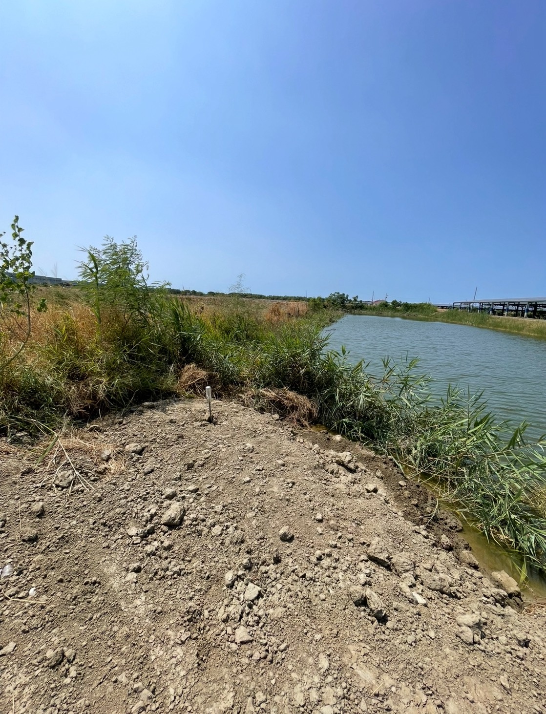 七股586坪低總價養殖用地