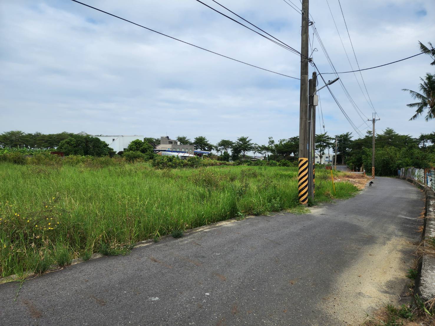 (專)歸仁高鐵大面寬平整農地