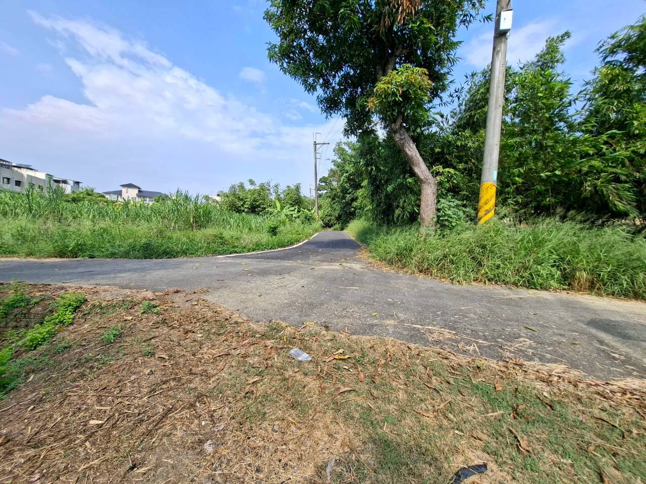 旺來路旁8米計劃建地