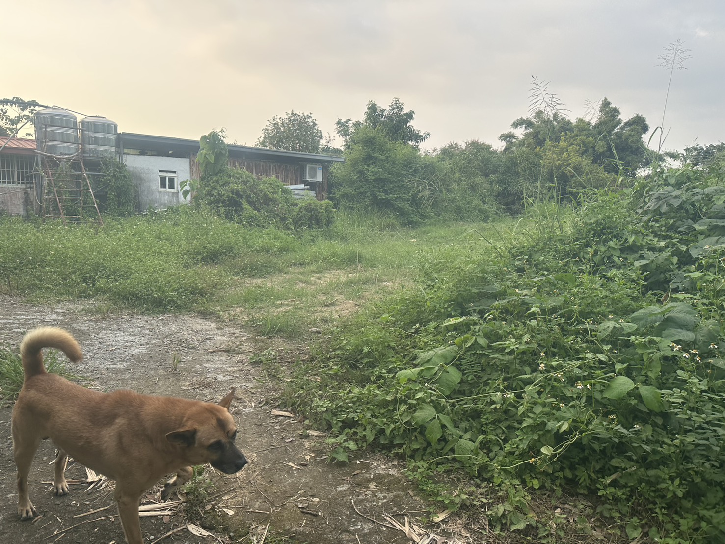 楠西溫泉養生長照用地