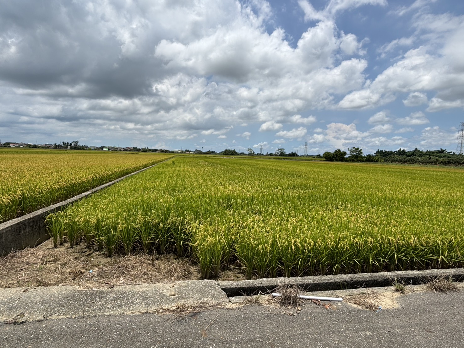 東山吉貝耍特農地1