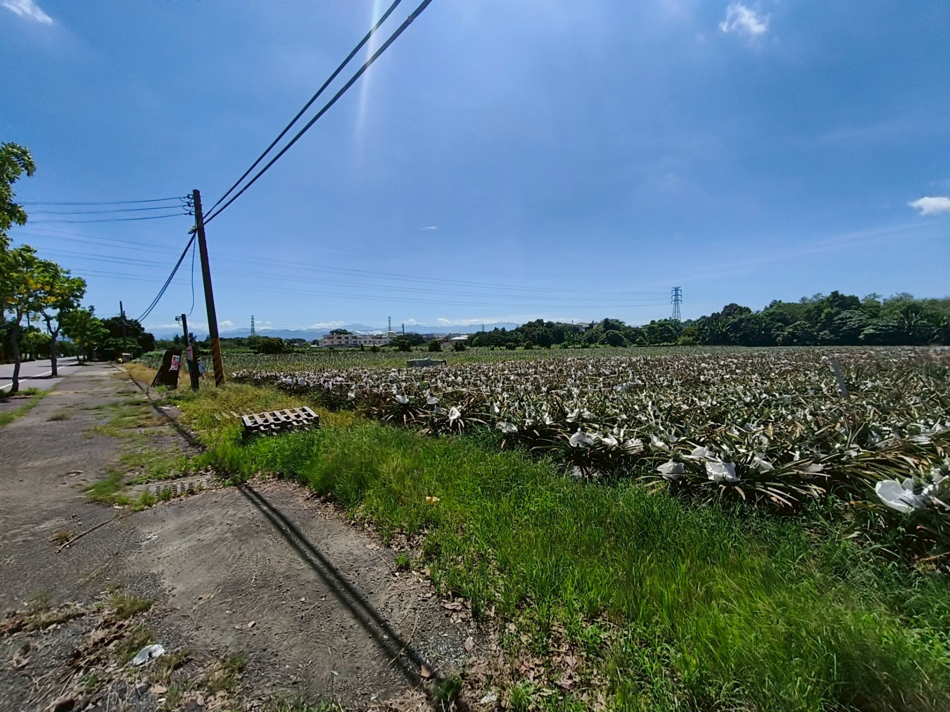 山上臨15米路3166坪農地