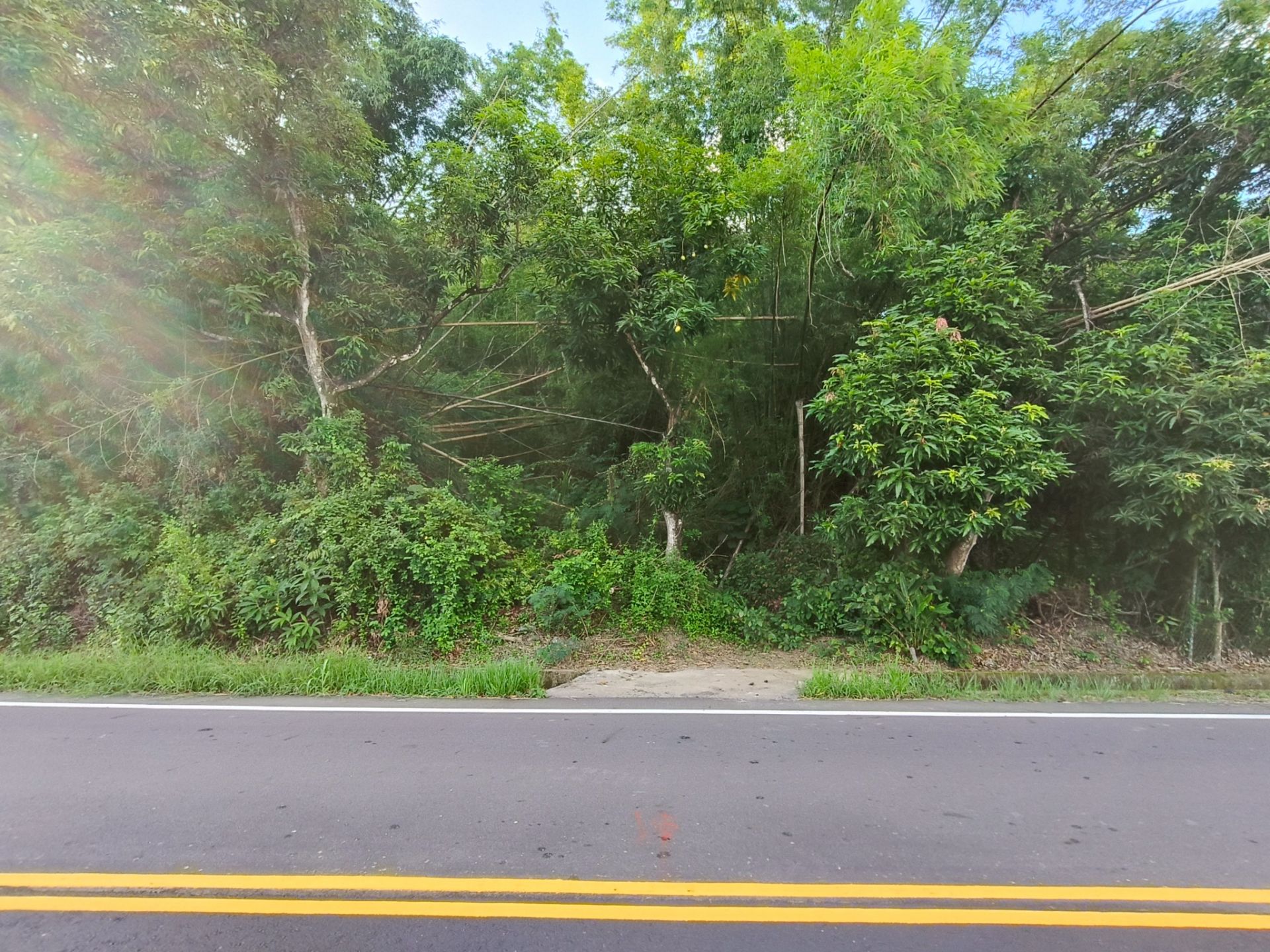 左鎮區臨公路5270坪農地