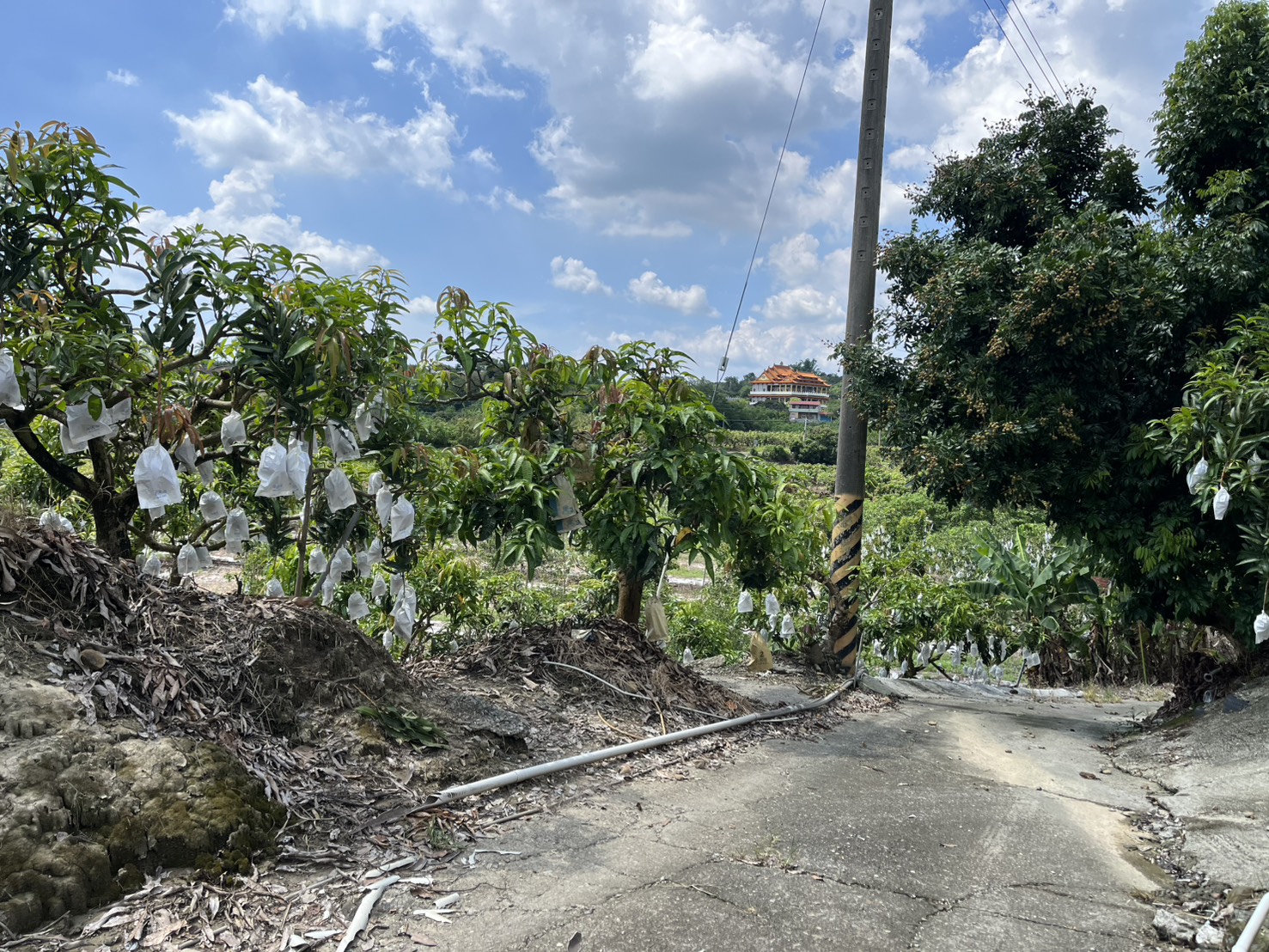 南化持分便宜農地