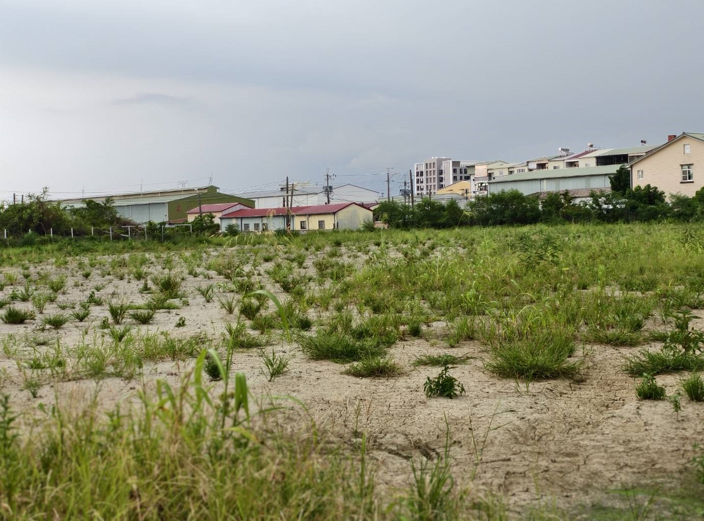 歸仁臨社區優質方正農地(A)